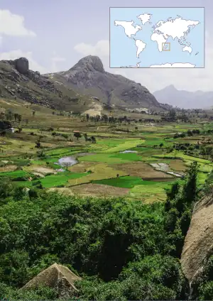 vanille Madagascar